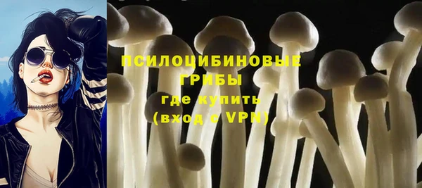 мяу мяу мука Зеленодольск