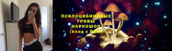 мяу мяу мука Зеленодольск