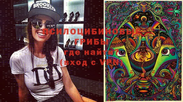 хмурый Зерноград