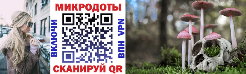 Купить закладки  Заречный  Псилоцибиновые грибы мицелий 
