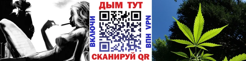 Шишки марихуана тримм  Купить закладки  Заречный 
